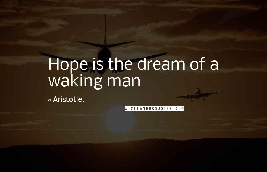 Aristotle. Quotes: Hope is the dream of a waking man