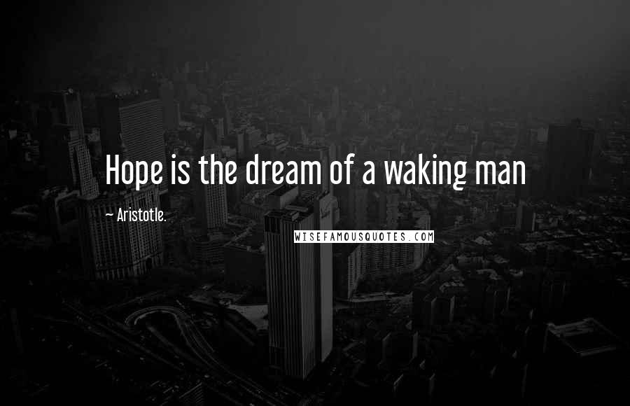 Aristotle. Quotes: Hope is the dream of a waking man