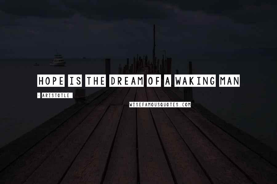 Aristotle. Quotes: Hope is the dream of a waking man