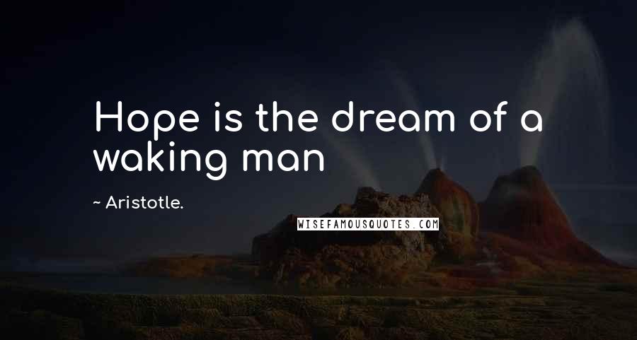 Aristotle. Quotes: Hope is the dream of a waking man