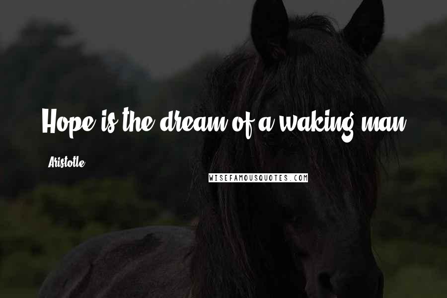 Aristotle. Quotes: Hope is the dream of a waking man