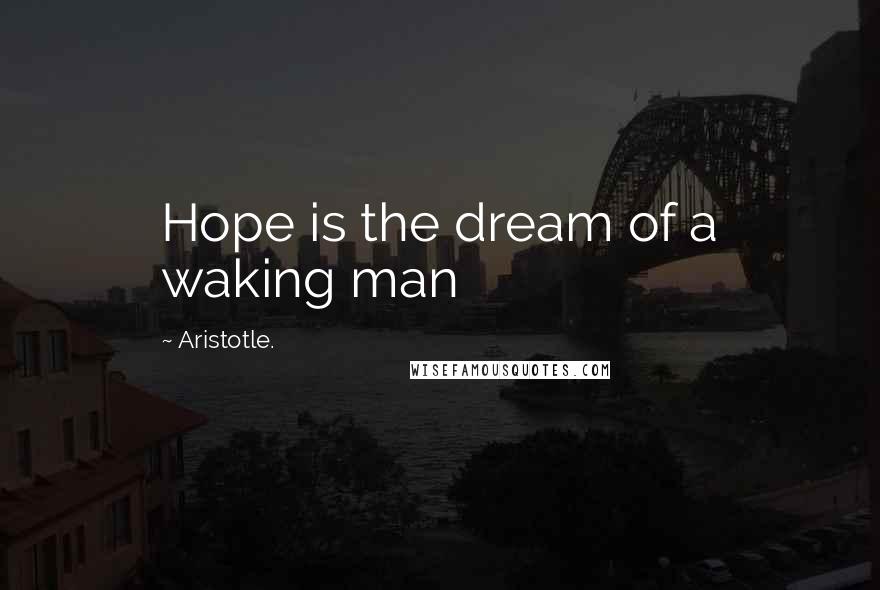 Aristotle. Quotes: Hope is the dream of a waking man