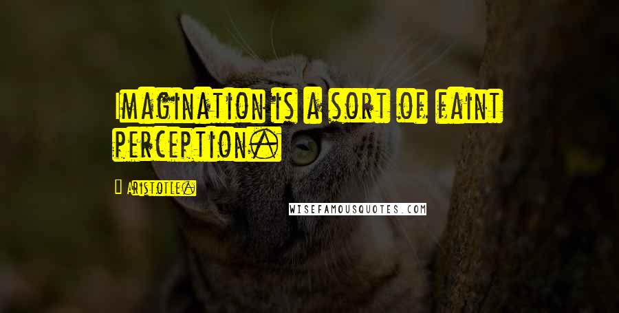 Aristotle. Quotes: Imagination is a sort of faint perception.