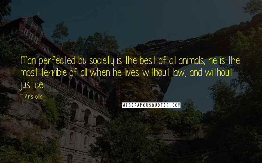 Aristotle. Quotes: Man perfected by society is the best of all animals; he is the most terrible of all when he lives without law, and without justice.