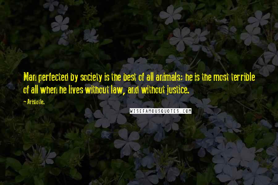 Aristotle. Quotes: Man perfected by society is the best of all animals; he is the most terrible of all when he lives without law, and without justice.