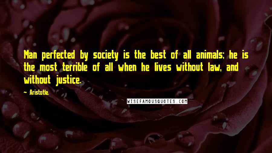 Aristotle. Quotes: Man perfected by society is the best of all animals; he is the most terrible of all when he lives without law, and without justice.