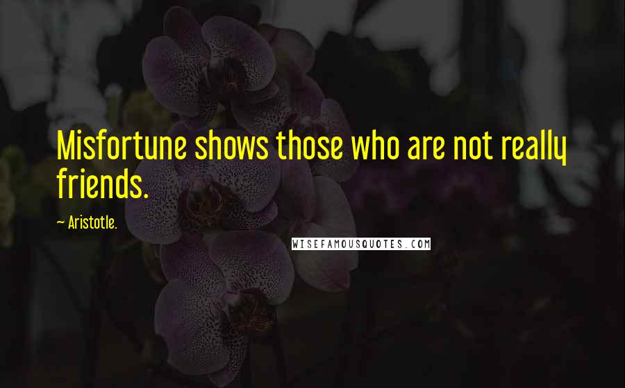 Aristotle. Quotes: Misfortune shows those who are not really friends.