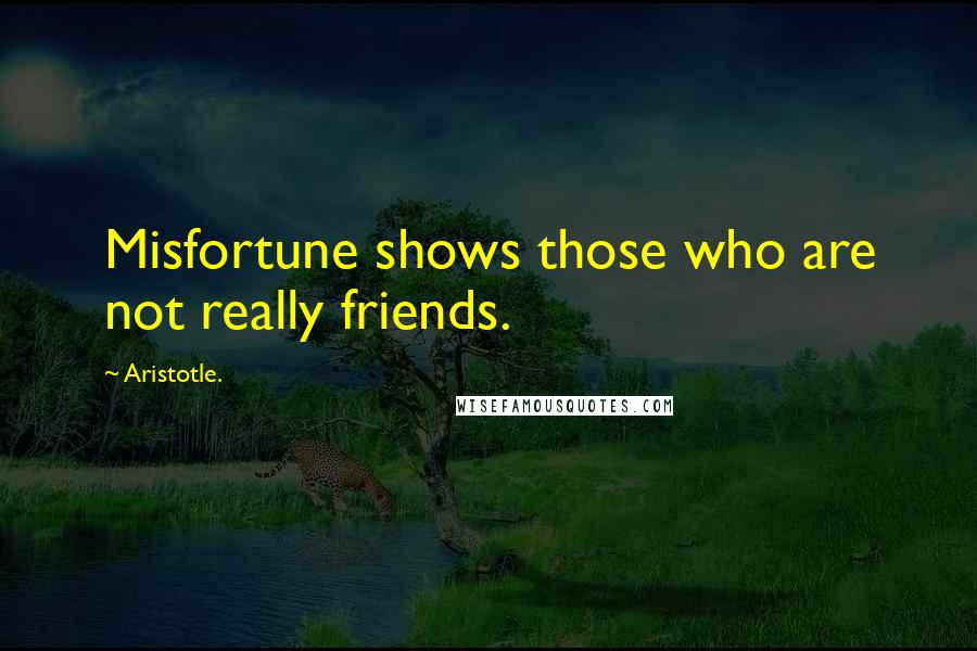 Aristotle. Quotes: Misfortune shows those who are not really friends.