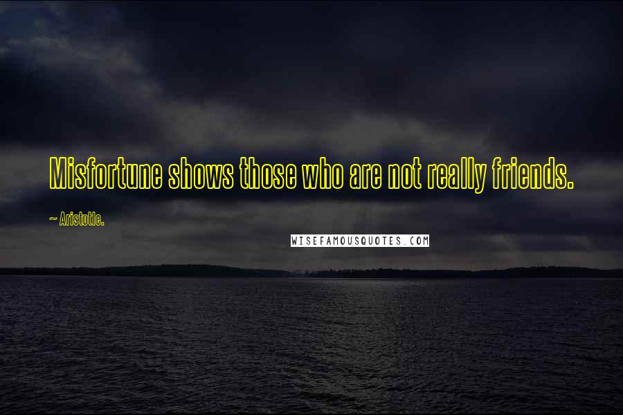 Aristotle. Quotes: Misfortune shows those who are not really friends.