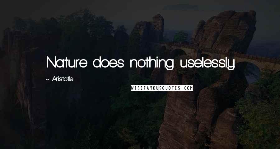 Aristotle. Quotes: Nature does nothing uselessly.