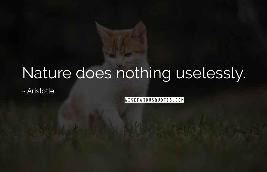 Aristotle. Quotes: Nature does nothing uselessly.