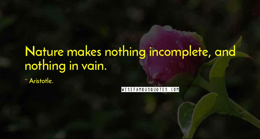 Aristotle. Quotes: Nature makes nothing incomplete, and nothing in vain.