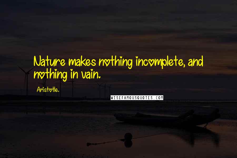 Aristotle. Quotes: Nature makes nothing incomplete, and nothing in vain.