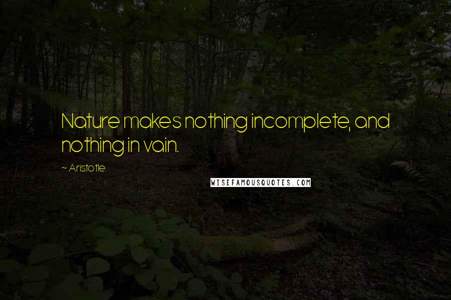 Aristotle. Quotes: Nature makes nothing incomplete, and nothing in vain.