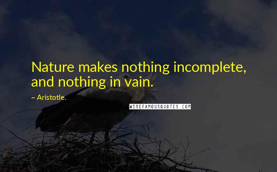 Aristotle. Quotes: Nature makes nothing incomplete, and nothing in vain.