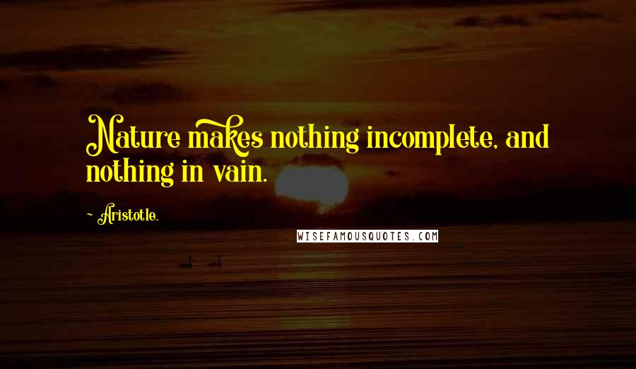 Aristotle. Quotes: Nature makes nothing incomplete, and nothing in vain.