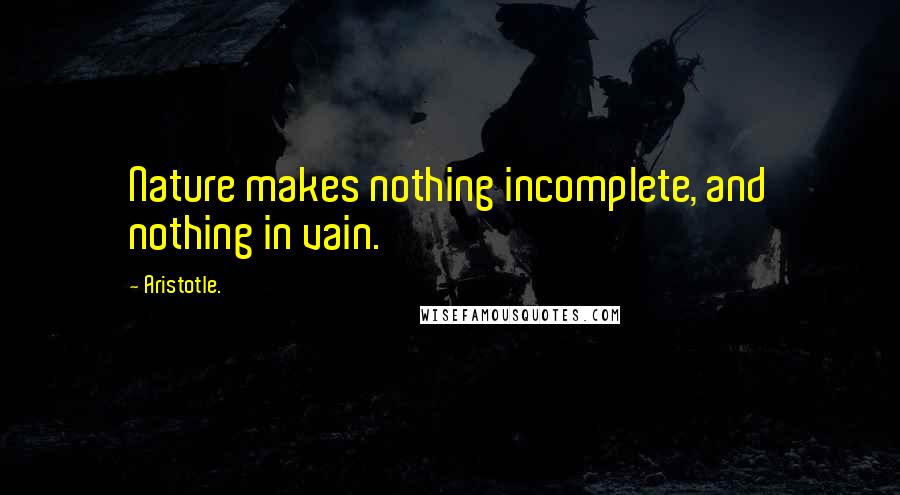Aristotle. Quotes: Nature makes nothing incomplete, and nothing in vain.