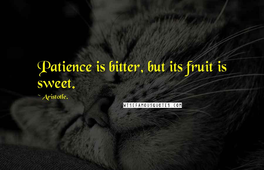 Aristotle. Quotes: Patience is bitter, but its fruit is sweet.