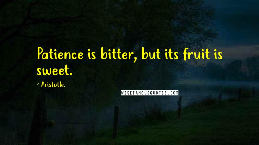 Aristotle. Quotes: Patience is bitter, but its fruit is sweet.