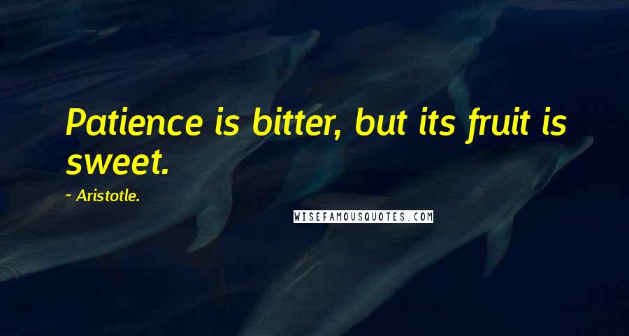 Aristotle. Quotes: Patience is bitter, but its fruit is sweet.