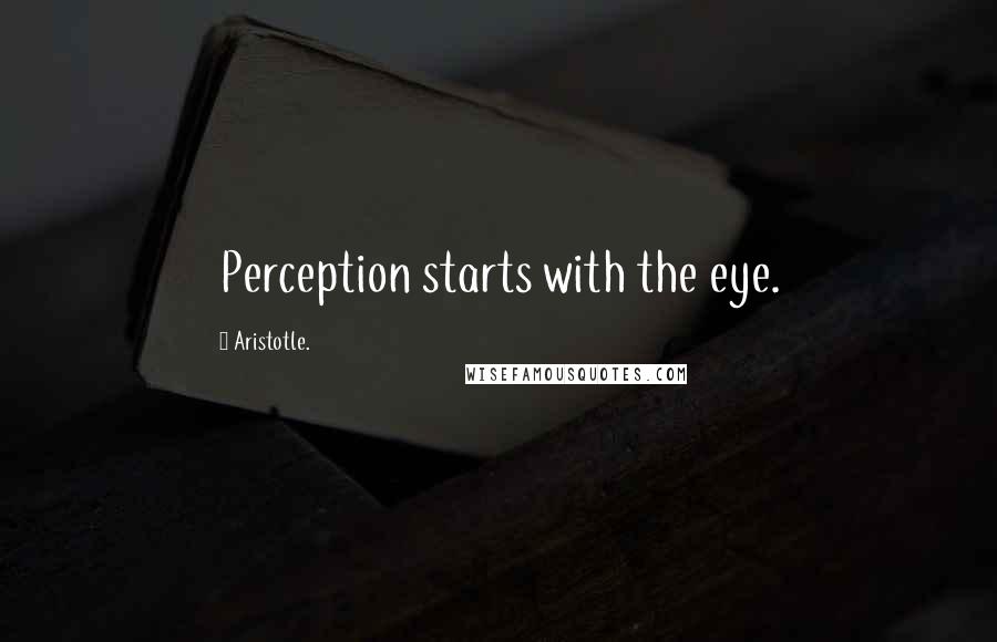 Aristotle. Quotes: Perception starts with the eye.