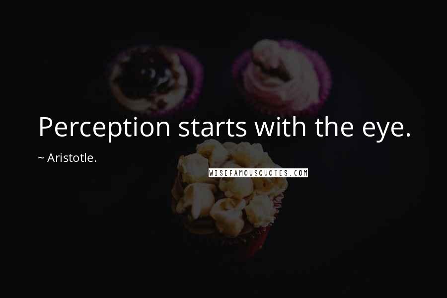 Aristotle. Quotes: Perception starts with the eye.