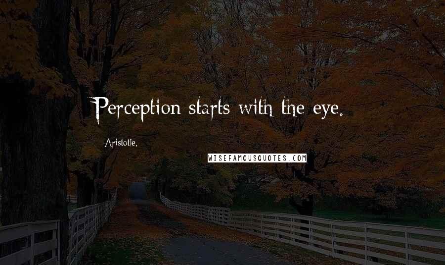 Aristotle. Quotes: Perception starts with the eye.
