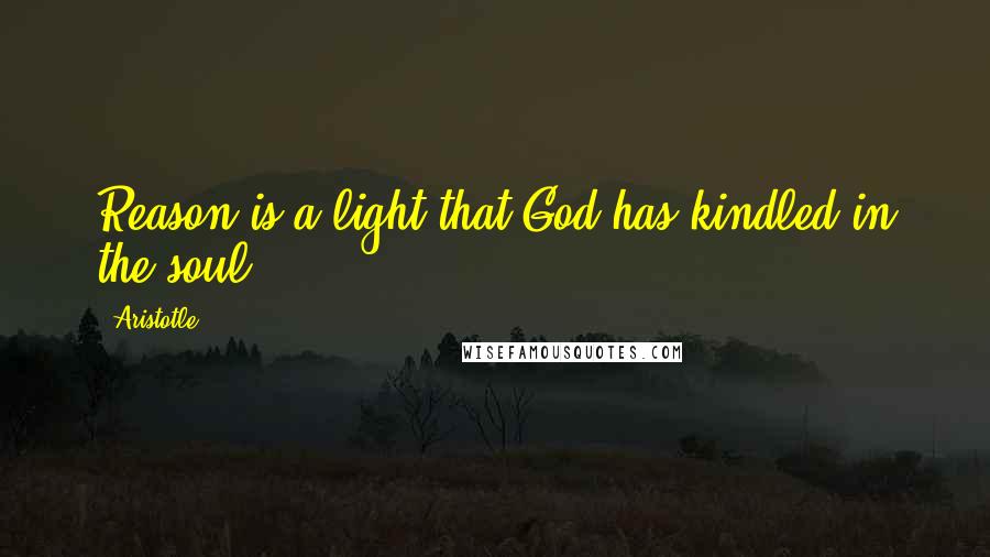 Aristotle. Quotes: Reason is a light that God has kindled in the soul.