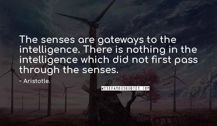 Aristotle. Quotes: The senses are gateways to the intelligence. There is nothing in the intelligence which did not first pass through the senses.