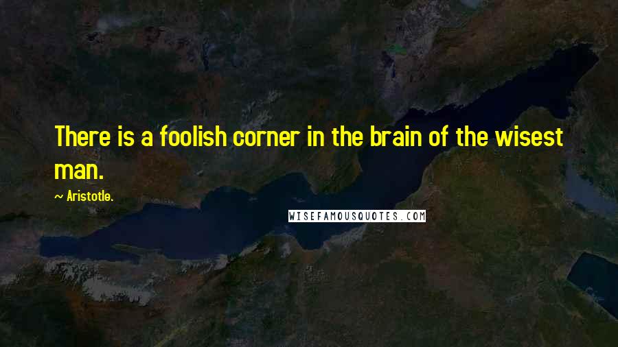 Aristotle. Quotes: There is a foolish corner in the brain of the wisest man.