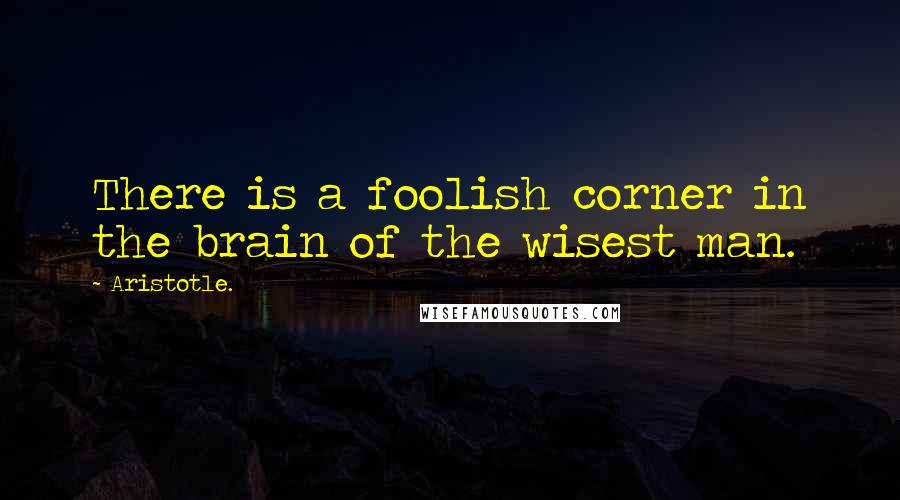 Aristotle. Quotes: There is a foolish corner in the brain of the wisest man.