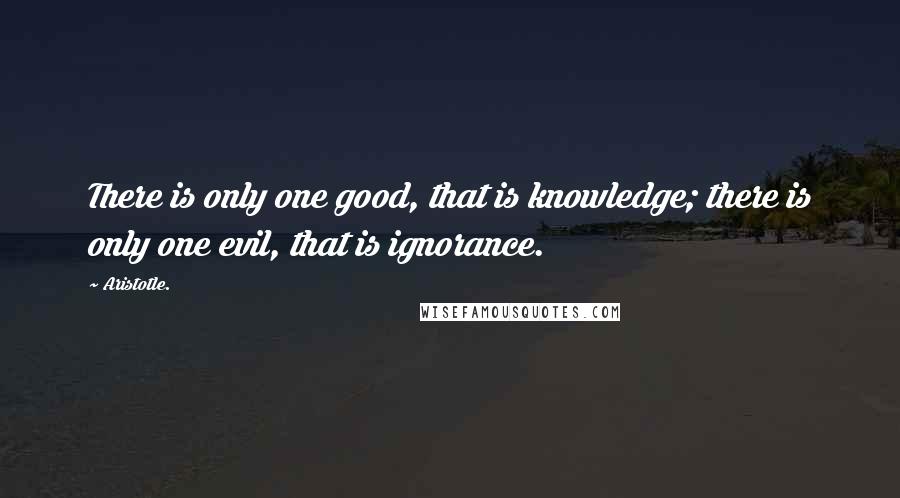 Aristotle. Quotes: There is only one good, that is knowledge; there is only one evil, that is ignorance.