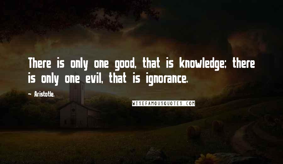 Aristotle. Quotes: There is only one good, that is knowledge; there is only one evil, that is ignorance.