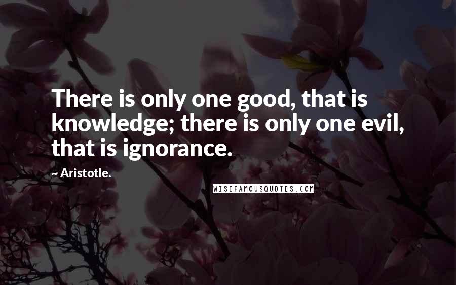 Aristotle. Quotes: There is only one good, that is knowledge; there is only one evil, that is ignorance.