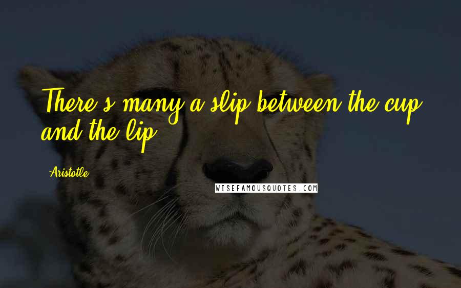 Aristotle. Quotes: There's many a slip between the cup and the lip.