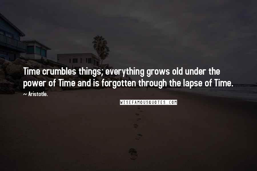 Aristotle. Quotes: Time crumbles things; everything grows old under the power of Time and is forgotten through the lapse of Time.