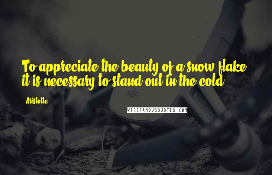 Aristotle. Quotes: To appreciate the beauty of a snow flake, it is necessary to stand out in the cold.