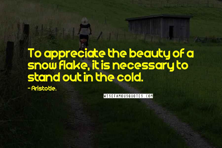 Aristotle. Quotes: To appreciate the beauty of a snow flake, it is necessary to stand out in the cold.
