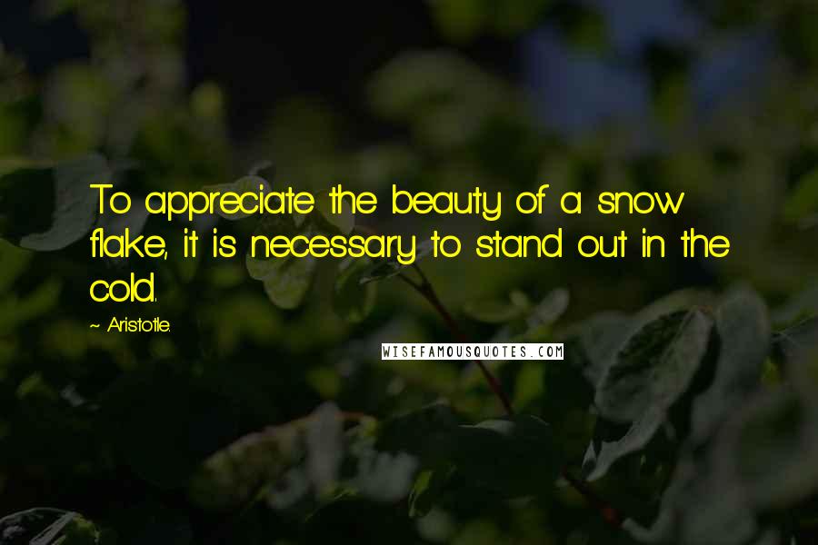Aristotle. Quotes: To appreciate the beauty of a snow flake, it is necessary to stand out in the cold.