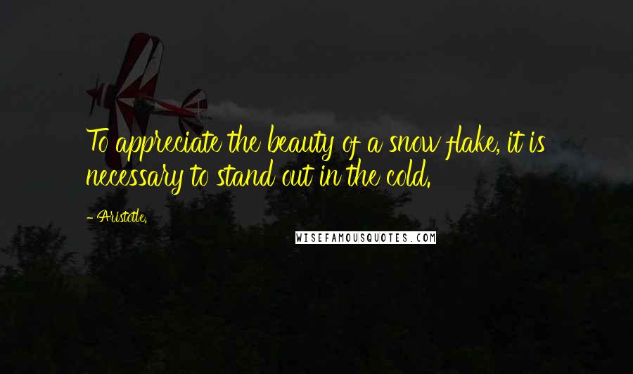 Aristotle. Quotes: To appreciate the beauty of a snow flake, it is necessary to stand out in the cold.