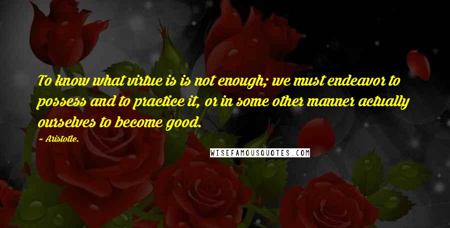 Aristotle. Quotes: To know what virtue is is not enough; we must endeavor to possess and to practice it, or in some other manner actually ourselves to become good.