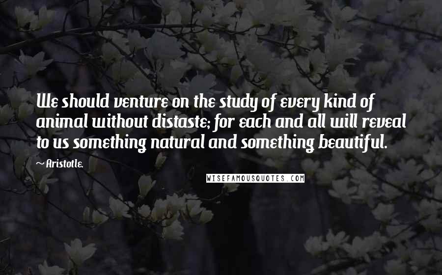 Aristotle. Quotes: We should venture on the study of every kind of animal without distaste; for each and all will reveal to us something natural and something beautiful.