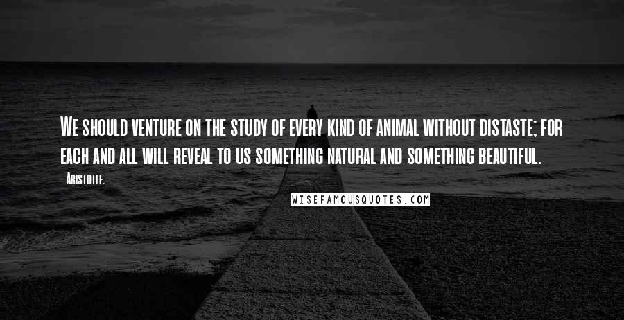 Aristotle. Quotes: We should venture on the study of every kind of animal without distaste; for each and all will reveal to us something natural and something beautiful.
