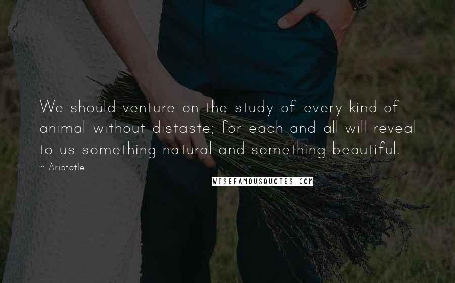 Aristotle. Quotes: We should venture on the study of every kind of animal without distaste; for each and all will reveal to us something natural and something beautiful.