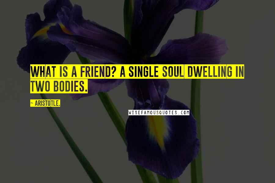 Aristotle. Quotes: What is a friend? A single soul dwelling in two bodies.