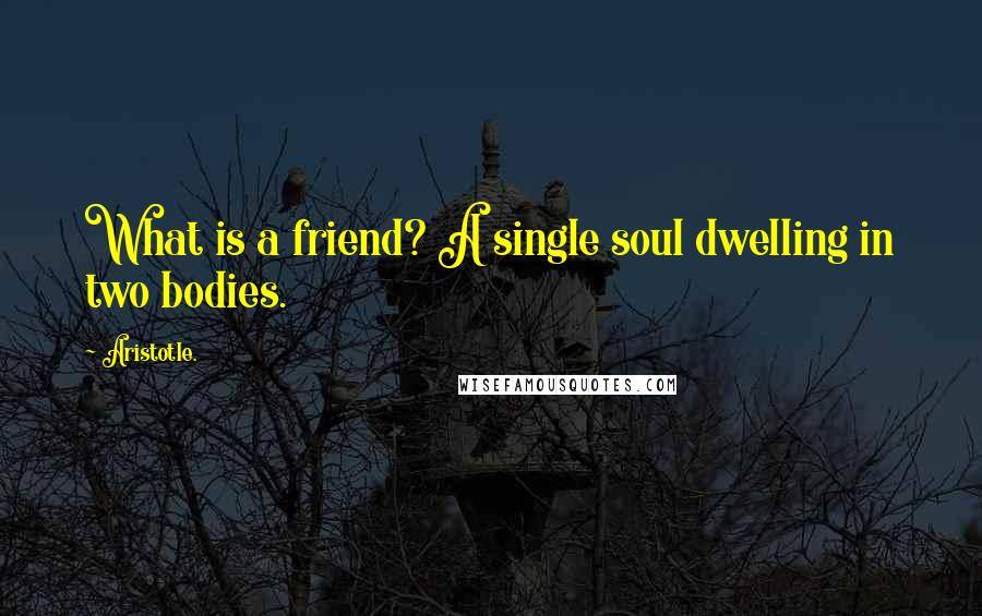 Aristotle. Quotes: What is a friend? A single soul dwelling in two bodies.