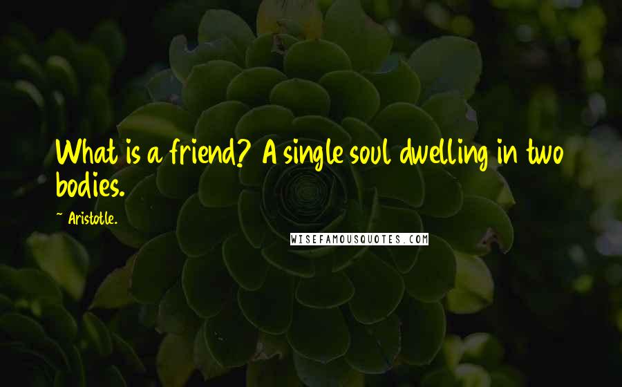 Aristotle. Quotes: What is a friend? A single soul dwelling in two bodies.