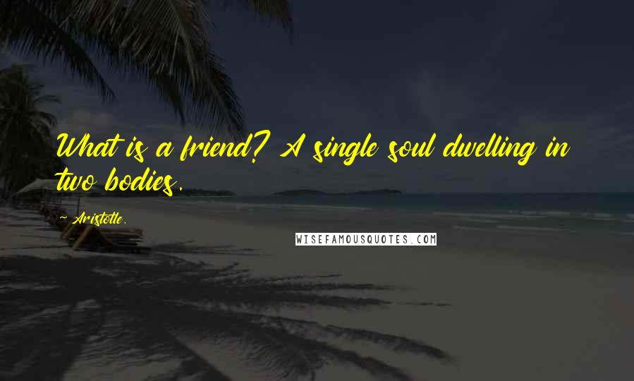 Aristotle. Quotes: What is a friend? A single soul dwelling in two bodies.