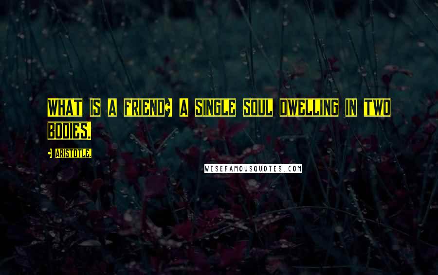 Aristotle. Quotes: What is a friend? A single soul dwelling in two bodies.