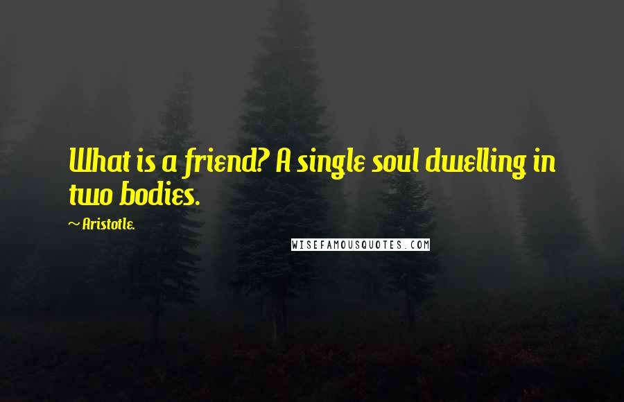 Aristotle. Quotes: What is a friend? A single soul dwelling in two bodies.